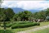 Jardin Botanico (19)